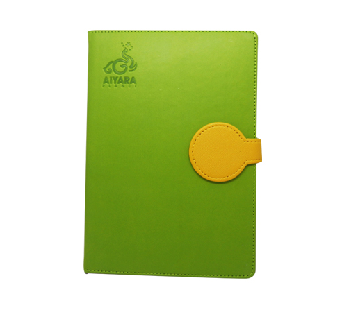 DIARY 2016
