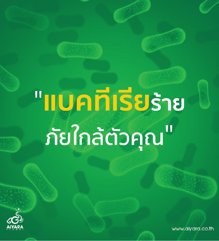 (Thai) แบคทีเรียร้าย ภัยใกล้ตัวคุณ!!