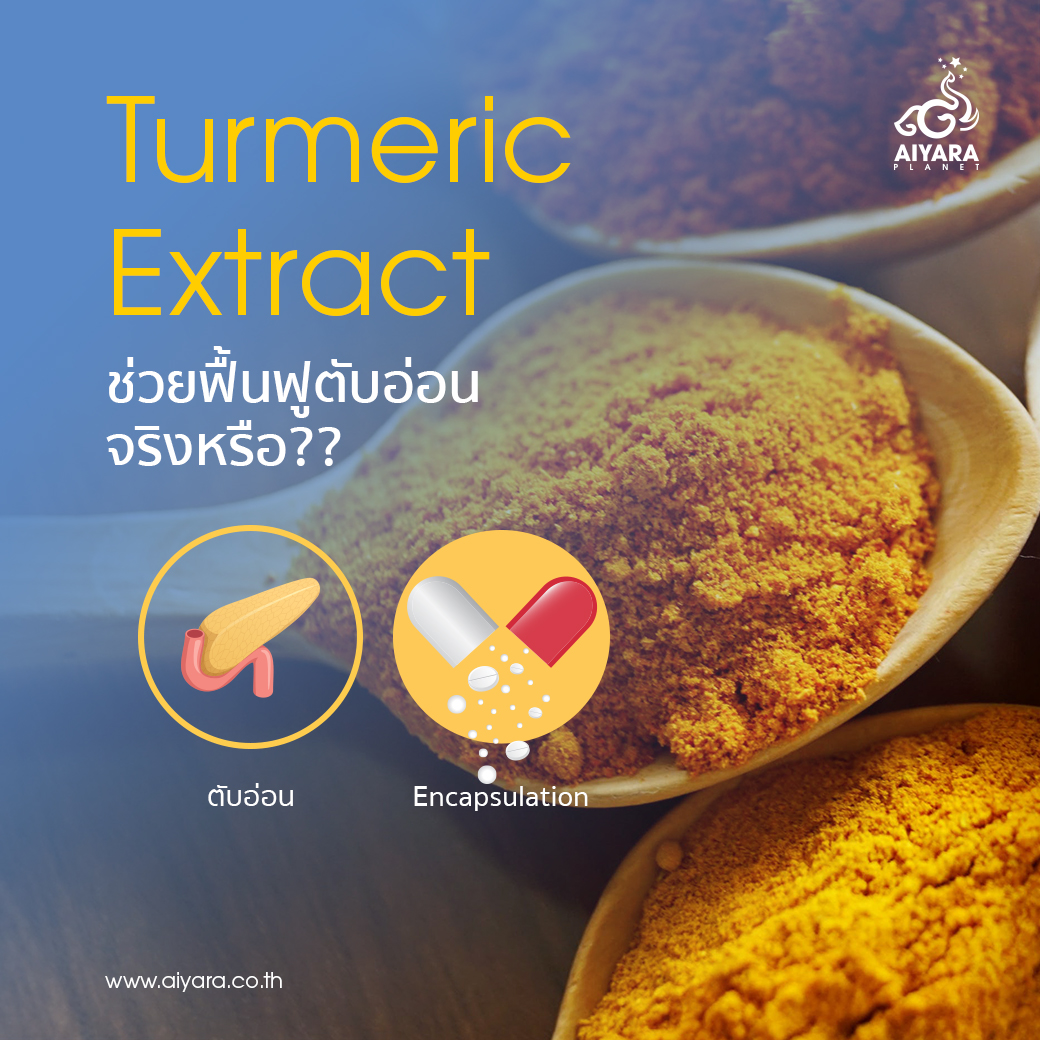 (Thai) Turmeric Extract ช่วยฟื้นฟูตับอ่อนจริงหรือ??