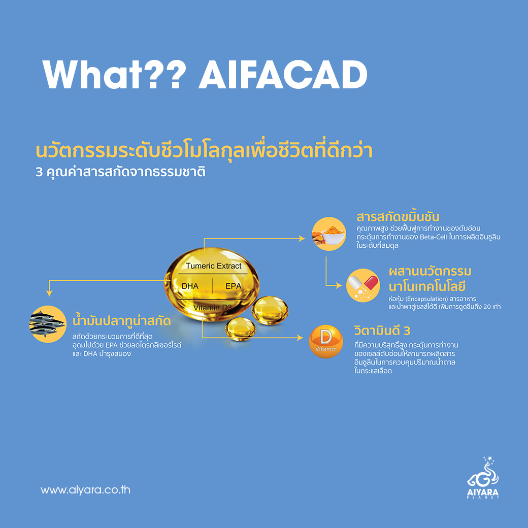 (Thai) AIFACAD คืออะไร??