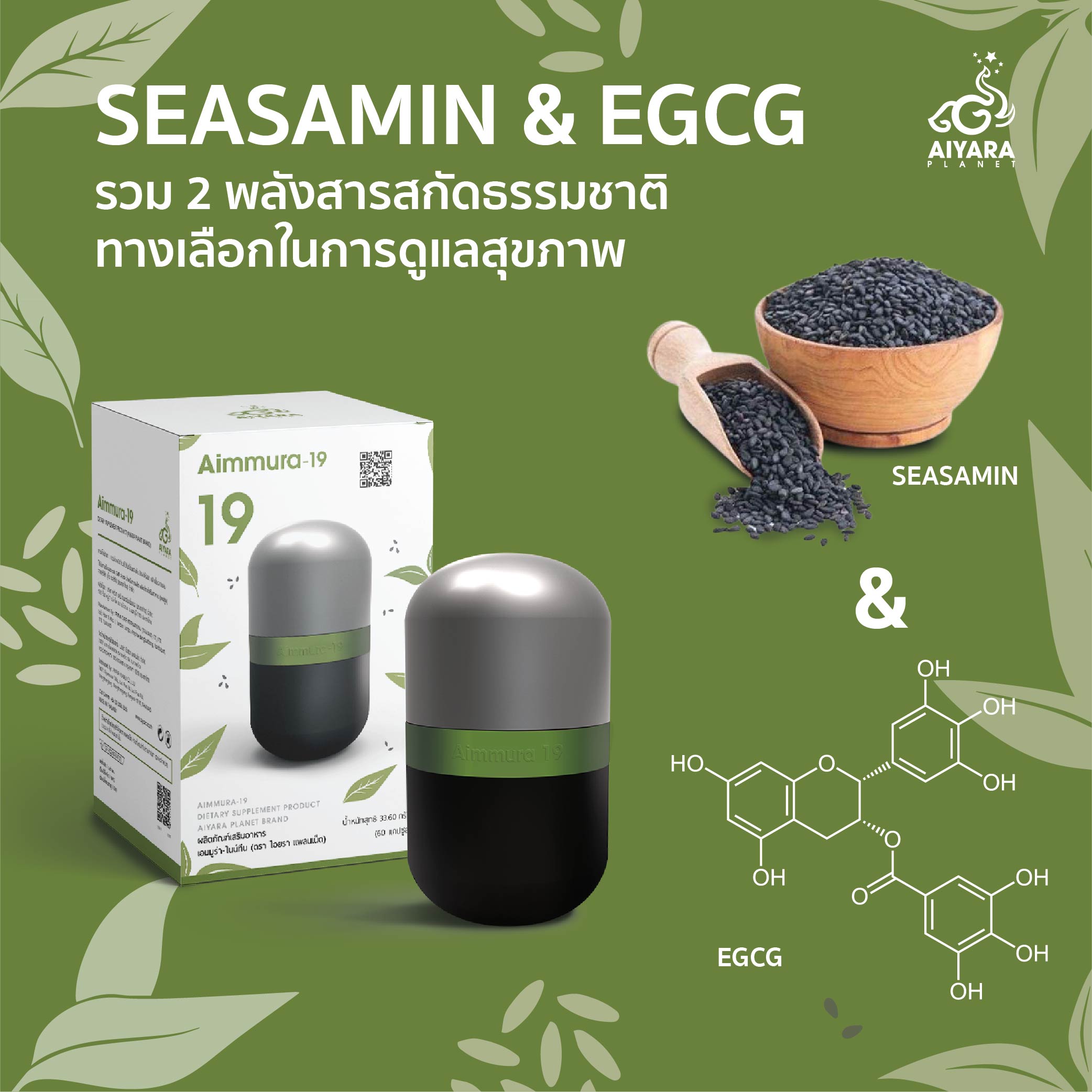 (Thai) SEASAMIN & EGCG
